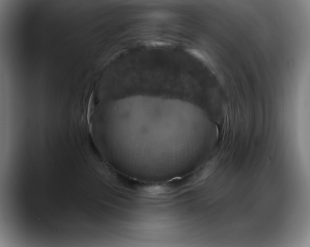 X0000088850237200706151723