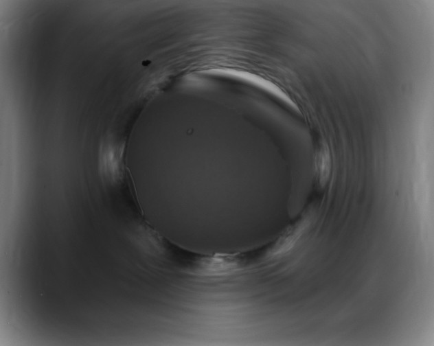 X0000088850239200706151723