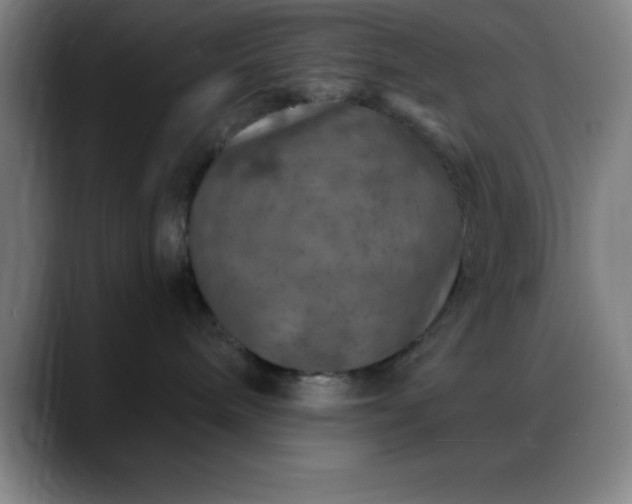 X0000088850240200706151723