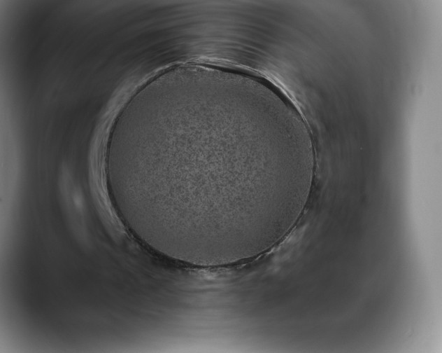 X0000088850241200706151722