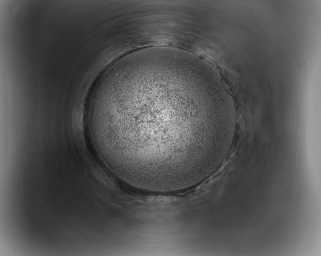 X0000088850242200706151722