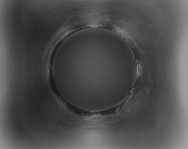 X0000088850243200706151722