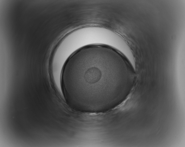 X0000088850244200706151722