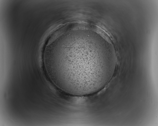 X0000088850245200706151722