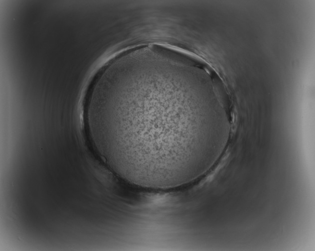 X0000088850246200706151722