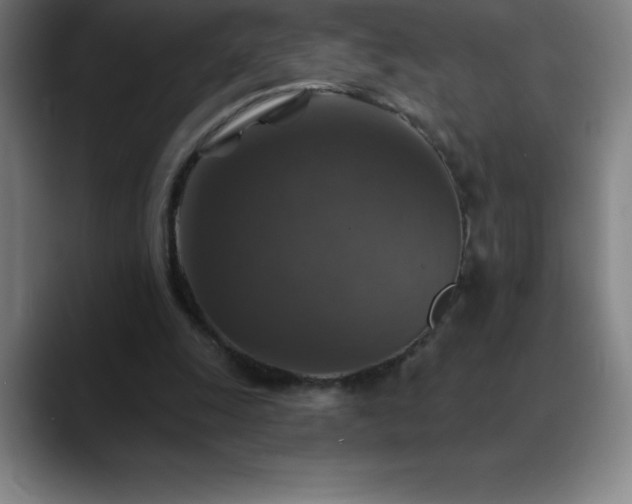 X0000088850247200706151722