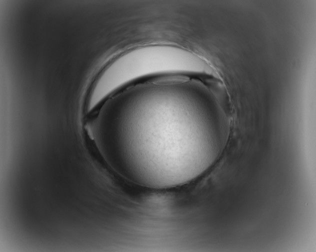 X0000088850248200706151722