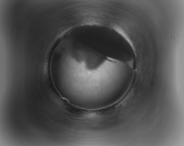 X0000088850249200706151722