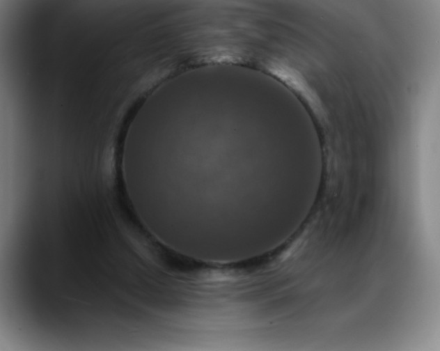 X0000088850250200706151722