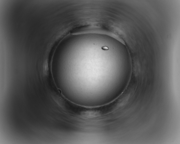 X0000088850251200706151722