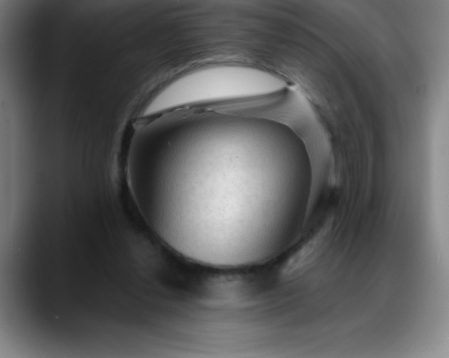 X0000088850252200706151722