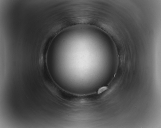 X0000088850254200706151722