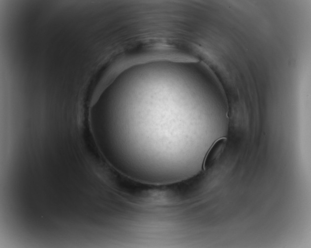 X0000088850255200706151722