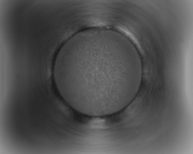 X0000088850257200706151722