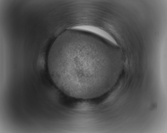 X0000088850259200706151722