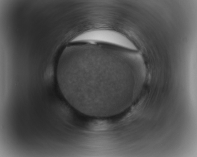 X0000088850260200706151722