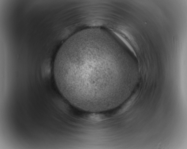 X0000088850261200706151722