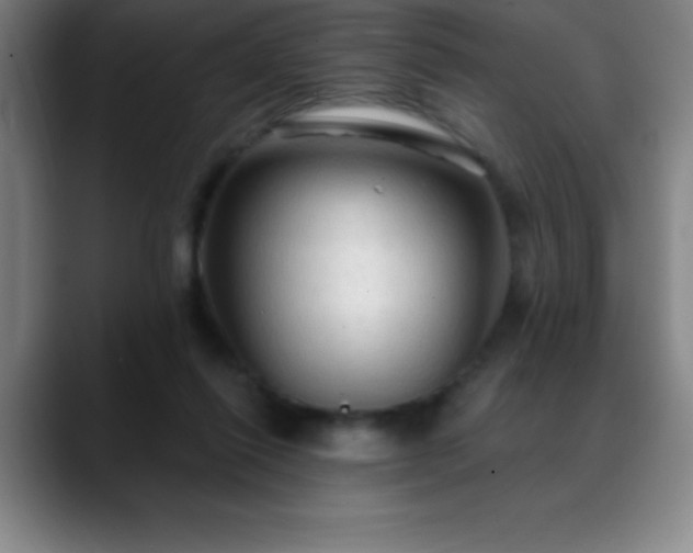 X0000088850262200706151722