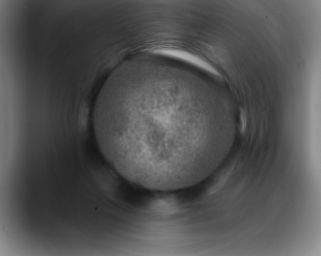 X0000088850263200706151722