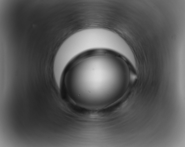 X0000088850264200706151722