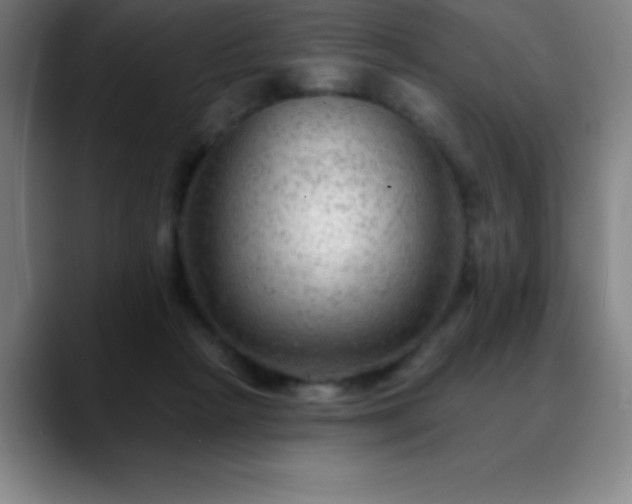 X0000088850265200706151722