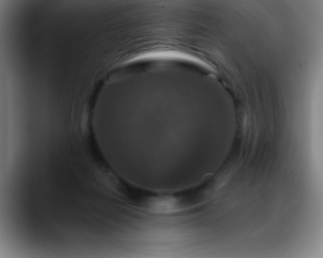 X0000088850266200706151722