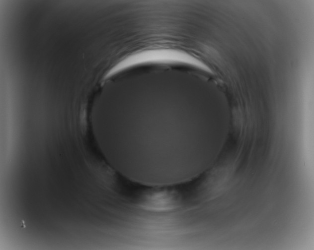 X0000088850267200706151722