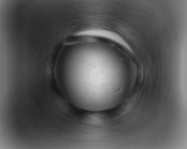 X0000088850268200706151722