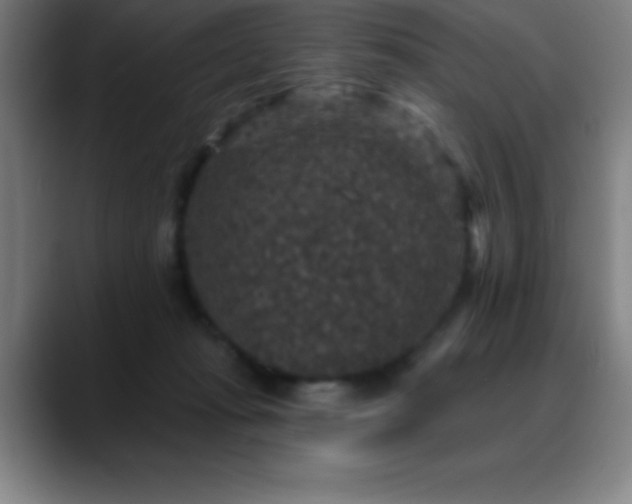 X0000088850269200706151722