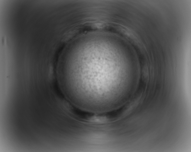 X0000088850270200706151722