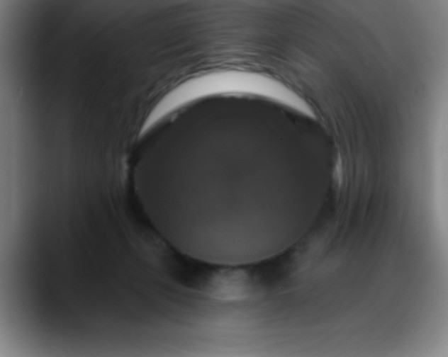 X0000088850271200706151722