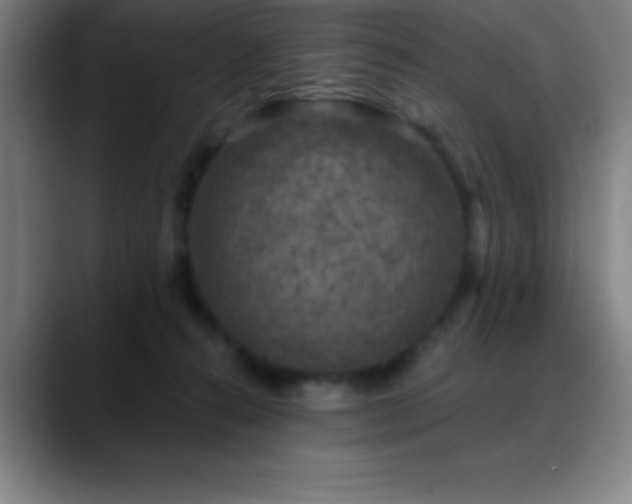 X0000088850272200706151722