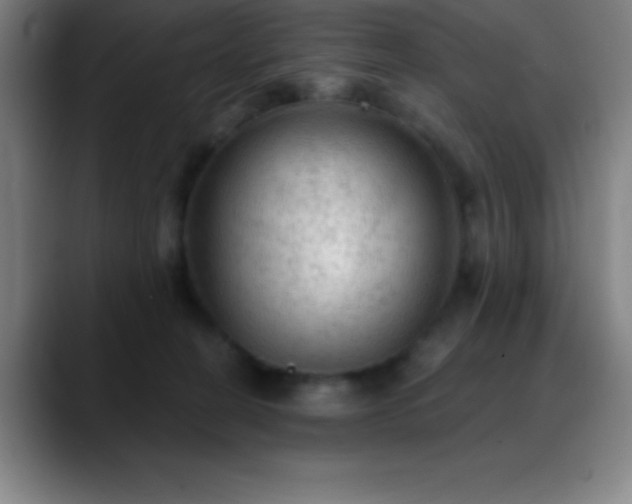 X0000088850274200706151722