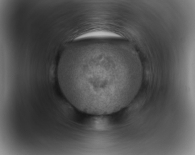 X0000088850275200706151722