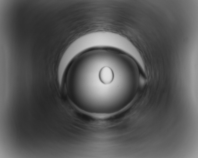 X0000088850276200706151722