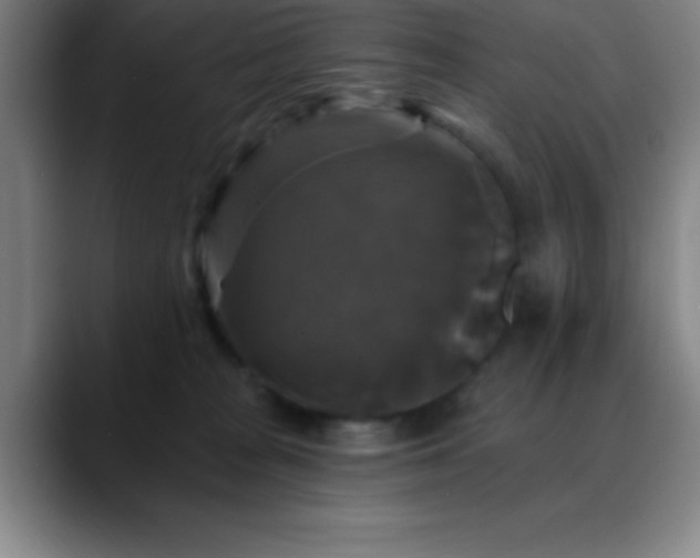 X0000088850277200706151722