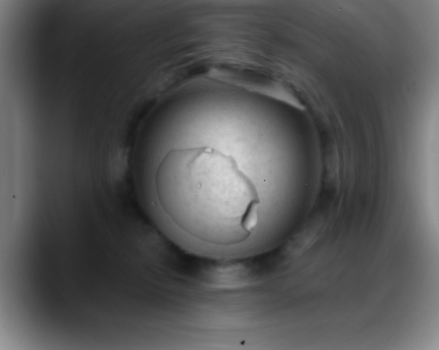 X0000088850278200706151722