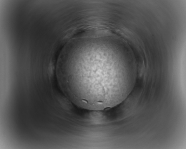 X0000088850279200706151722