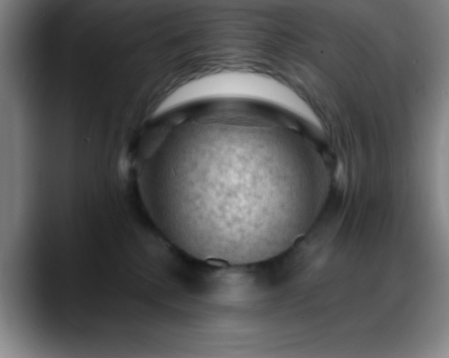 X0000088850280200706151722