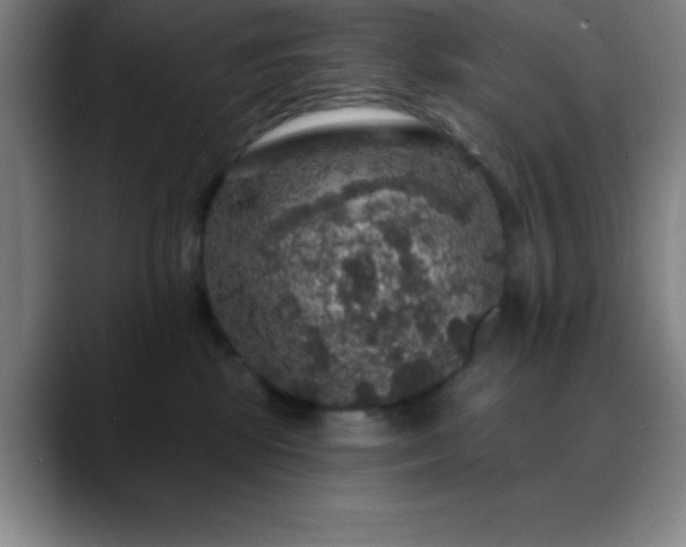 X0000088850281200706151723