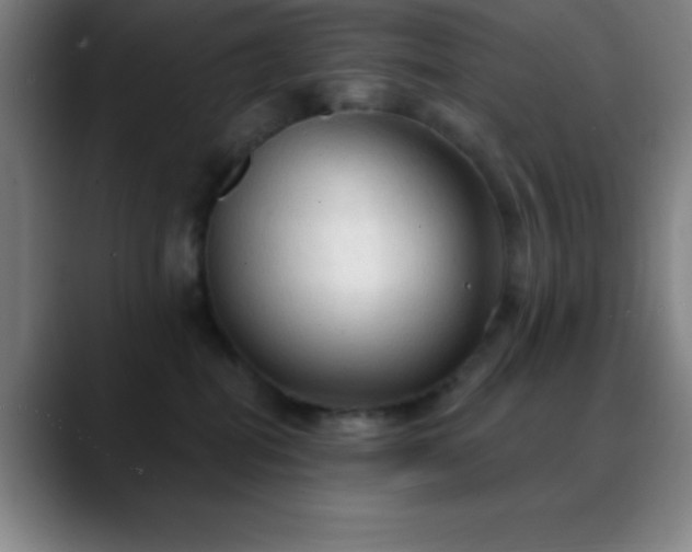 X0000088850282200706151723