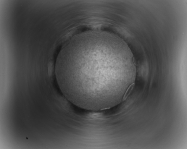 X0000088850283200706151723