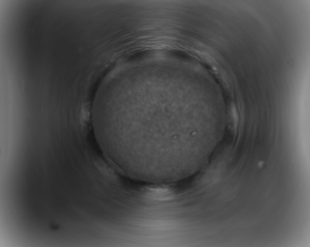 X0000088850284200706151723