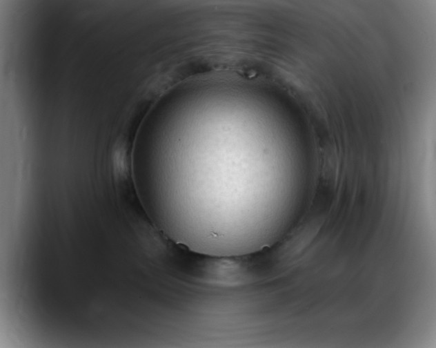 X0000088850287200706151723