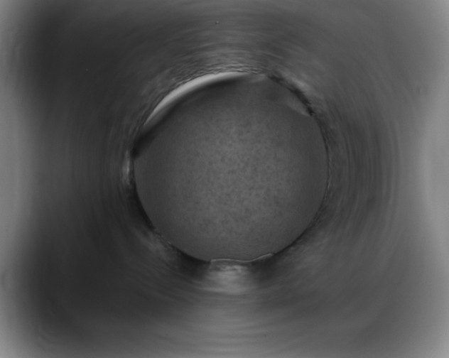 X0000088850288200706151723