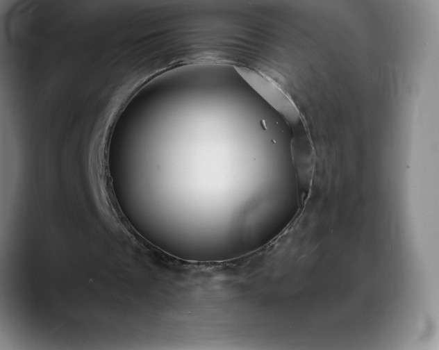 X0000088850289200706151722