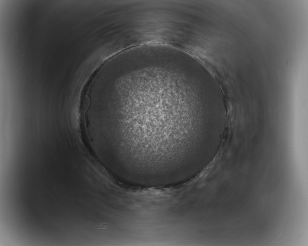 X0000088850290200706151722