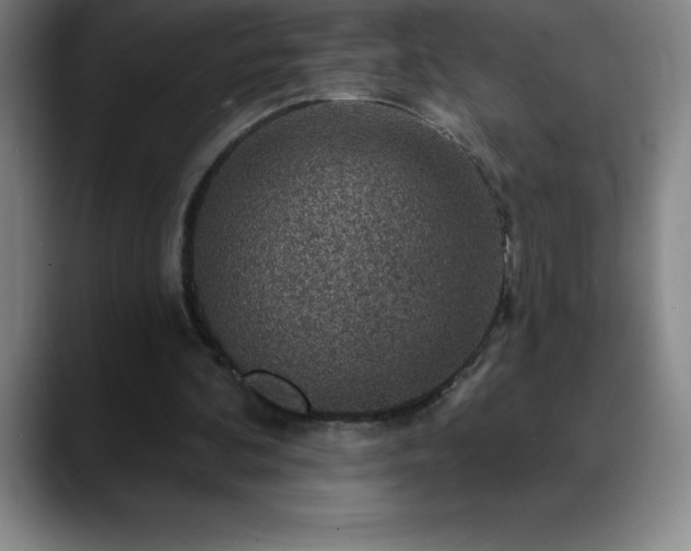 X0000088850292200706151722