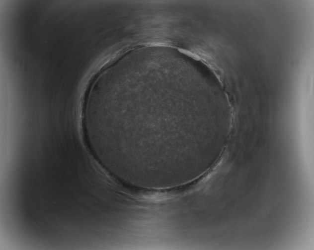 X0000088850293200706151722