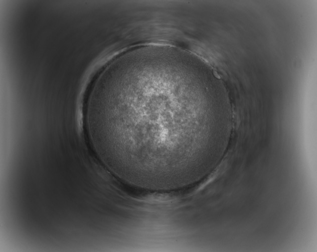 X0000088850294200706151722